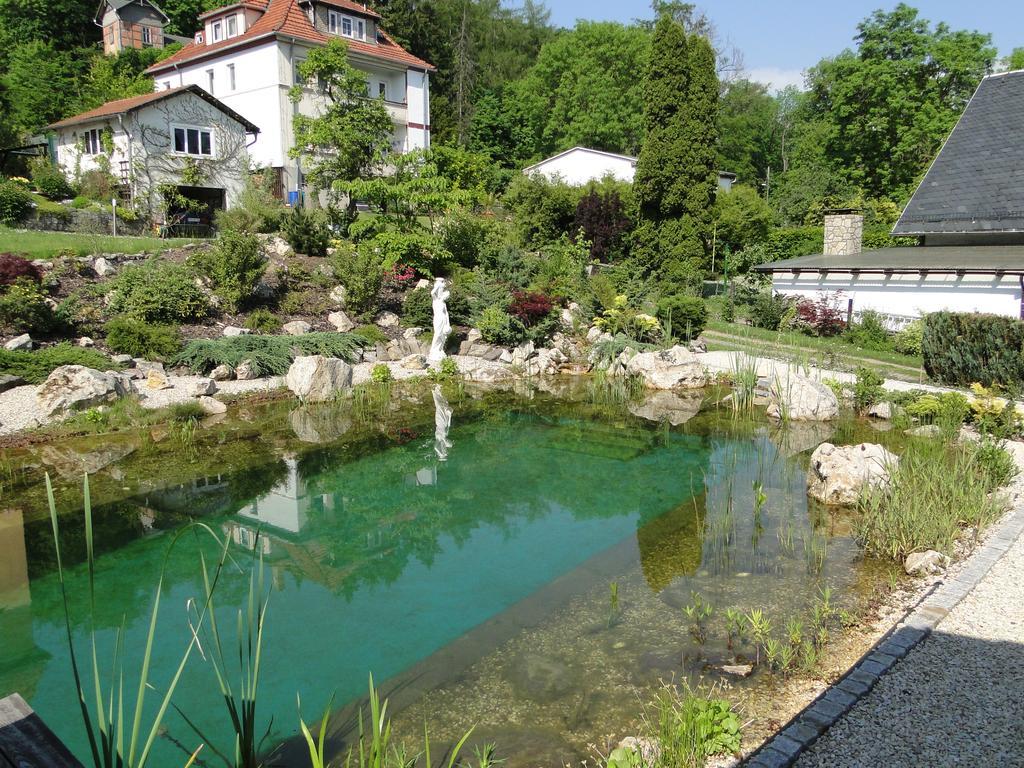 Pension Villa Am Burgberg Waltershausen Eksteriør bilde